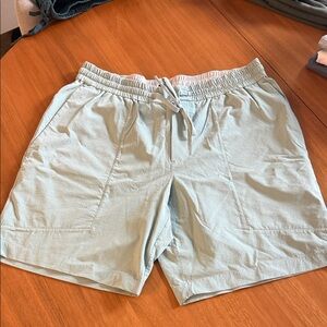 Lululemon Athletica Light Blue Athletic Shorts